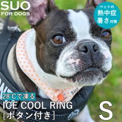 yK̔XzSUO N[O for dogs {^t 28 ICE COOL RING STCY 28 ACXN[O XI p ACXO 