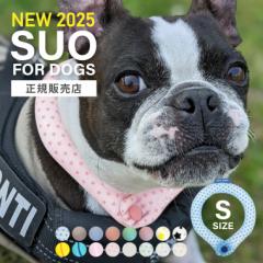 yK̔Xz2025f SUO N[O for dogs {^t 28 ICE COOL RING STCY 28 ACXN[O XI p AC