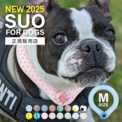 yK̔Xz2025f SUO N[O for dogs {^t 28 ICE COOL RING MTCY 28 ACXN[O XI p AC
