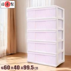 ���[�P�[�X �����o�� ���C�h �`�F�X�g �v���X�`�b�N 5�i ��60cm ������� �z���C�g/�`�F���[�s���N ���{�� ��������