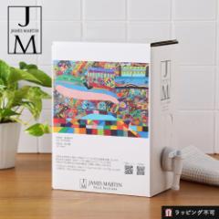 �W�F�[���Y�}�[�e�B�� �t���b�V���T�j�^�C�U�[�l�֗p 4.8L �o�b�O�C���{�b�N�X�l�ւ� ���� ���ŃA���R�[�� �y���b�s���O�s�z ts1031