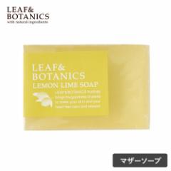 yő3,000~ItN[|IzLEAFBOTANICS [t{^jNX }U[\[v 90g C [t{^jNX Ό ΂ Ō` 