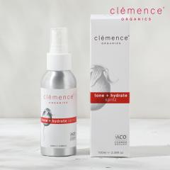 �N�������X�I�[�K�j�N�X  �n�C�h���C�g �~�X�g�g�i�[ 100ml �ێ� �~�X�g���ϐ� �~�X�g �v�����ϐ� ���ϐ� �X�L���P�A �_�}�X�N�o�� ���[