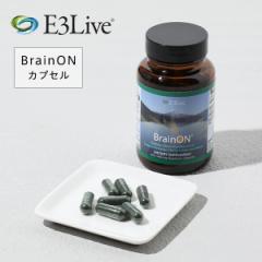 E3Live C[X[Cu BrainON JvZ 30g / 60JvZ | Tvg Tv u[O[AW[ uCI 0513