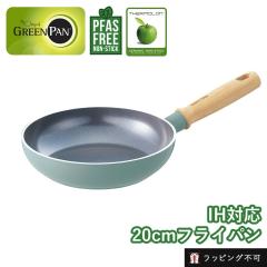 �O���[���p�� ���C�t�����[ �t���C�p�� 20cm GREEN PAN | �Z���~�b�N�R�[�e�B���O IH�Ή� �K�X�ΑΉ� ���т���ɂ��� �T�[������ CO2��