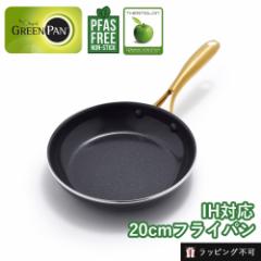 O[p XgDfBI tCp20cm GREEN PAN | IHΉ KXΑΉ Z~bNR[eBO тɂ  T[ CO2