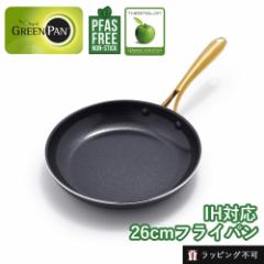 O[p XgDfBI tCp26cm GREEN PAN | IHΉ KXΑΉ Z~bNR[eBO тɂ  T[ CO2