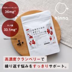yhinna܂ƂߔN[|zhinna i qi j ̂߂̂܂邲ƃNx[ 155 1J | Nx[ Li_ vA