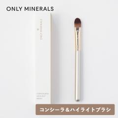 ONLY MINERALS�i�I�����[�~�l�����j�R���V�[���[���n�C���C�g�u���V �S��12.5cm �R���V�[���[�u���V �n�C���C�g �I�����[�~�l������p ��