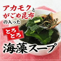 �������� �A�J���N �� �����ߍ��z �̓������Ƃ�Ƃ�C���X�[�v 69g�~2�� �Z�b�g (��34�t��) �|�X�g�����ւł̔z��(�������-�㕥���s�E