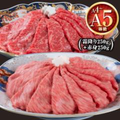 ܂ јa v500g  (Ԑg250g +~250g)  XCX Ă Ԃ  BY Y  a NV^ A5 