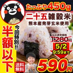【半額以下⇒590円】 雑穀米 送料無料 国産 雑穀 米 お米 お試し 二十五雑穀米 450g 非常食 保存食 3-7営業日以内