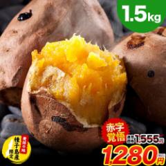 ySALE1280~z ܂ qY 󂠂 [ 1.5kg yő3kg܂ʁz10kg ȉ n  ܈ XC[c 