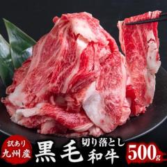 ���јa�� �؂藎�Ƃ� ���ܐ؂�� �������� ���K���� 500g �֗��Ȑ^��p�b�N ��B�Y ���Y ���Ԑ؂� �א؂� ���� ���� �� �a�� �E�f ���� 