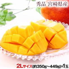 {茧Y n}S[ }S[ 1 (2LTCY: 350g`449g)  s6{7{ɔ\t N Mtg v[g