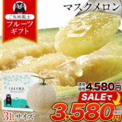 ySALE3580~z }XN BY  yԐlC3LTCYz 3LTCY 1  1.5kgȏ l  t[c M