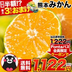 【送料無料】 みかん 訳あり 送料無料 熊本ミカン 1.5kg 大玉 小玉 不選別 規格外 果物 柑橘 九州 訳アリ 蜜柑 箱 