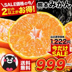 セールで999円 【最安挑戦】 みかん 訳あり 送料無料 熊本ミカン 1.5kg 大玉 小玉 不選別 規格外 柑橘 九州 訳アリ