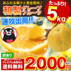 yv~Az 󂠂 aO[vt[c ͓ӊ 5kg ĕU F{Y 3-7cƓȓɏo Uo  @@@@@@@
