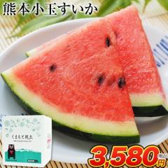 XCJ F{ ̓  󂠂 ʃXCJ F{Y 1 2LTCY 1.4kgȏ ʕ t[c { Hi  Y { s3-7c