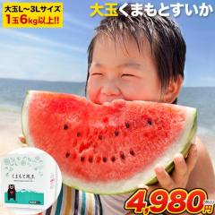 ������ �F�{ ��� �X�C�J ������ ������ �󂠂� �������� �F�{���Y 6kg�ȏ� �{ �� �ʕ� �� �L�����v �ƒ�p ���Ɨp �t���[�c �s5�����{-6