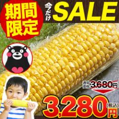 \今シーズンまもなく販売終了★SALE/ とうもろこし すごあまこーん 7本入 (3L~L サイズ) 卯野農場 朝採り 生で食べ