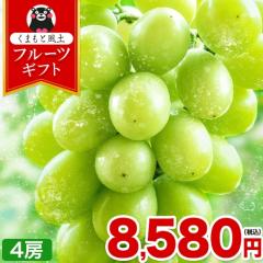 yő1500~OFFzVC}XJbg 1.2kg 300g~4[ t[c Mtg p v[g ʕ }XJbg Ԃǂ u