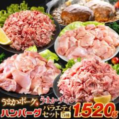 総重量1,520g! お肉5種 バラエティセット 肉 豚肉 鶏肉 ハンバーグ 5種 大容量 福袋 切り落とし 豚ミンチ 国産 豚 ミンチ うまかチキン 