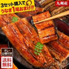 ギフト うなぎ 有頭 国産 蒲焼 蒲焼き 1尾165g以上 鰻 九州産 たれ さんしょう のセット ウナギ 鰻 贈り物 ボイル 九州 蒲焼 冷凍 《1-5