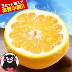 Uo ͓ӊ 1.5kg  a O[vt[c 3Zbg+3Zbg܂I܂  t[c ʕ 4.5kg 9kg 󂠂 