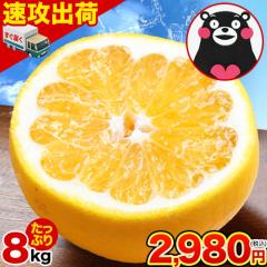 �͓��ӊ� 8kg �������� �a�� �O���[�v�t���[�c �t���[�c �ʕ� 5kg �ȏ� 10kg �ȉ� �󂠂� �ĕ��U �ӊ� �W���[�V�[�݂��� �F�{���Y mikan 