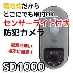 �d�r���h�ƃJ���� SD1000