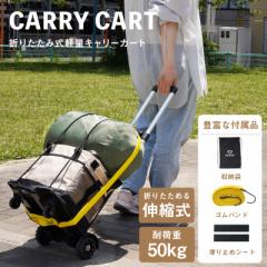 �_���x�� �_���x���Z�b�g �_���x���v���[�g 10kg 2�Z�b�g 20kg ���ǔ� �V���t�g �v���[�g  3kg 3.5kg 4.5kg 6kg 7.5kg �o�[�x�� �ώ�