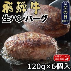 ���̓� 2026 �n���o�[�O  ���� �M�t�g  ��ˋ� ���n���o�[�O120g�~6�� �v���[���g �� �a�� �������� ���јa��  ��� ��j �a���� �L�O�� 