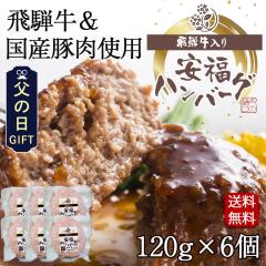 ���̓� 2026 ��ˋ������Y�ؓ� �����n���o�[�O 120g�~6�� �n���o�[�O  �M�t�g ���� �v���[���g �a�� �� ����  ��������  ���l�� ��� ��