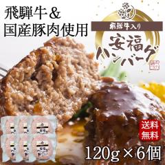 ��̓� 2026 ��ˋ������Y�ؓ� �����n���o�[�O 120g�~6�� �n���o�[�O  �M�t�g ���� �v���[���g �a�� �� ����  ��������  ���l�� ��� ��