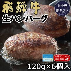 ������ 2026 �n���o�[�O  ���� �M�t�g  ��ˋ� ���n���o�[�O120g�~6�� �v���[���g �� �a�� �������� ���јa��  ��� ��j �a���� �L�O�� 