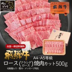    Mtg ˋ [X NV^[X ēp 500g 3`4lO o[xL[ BBQ bbq   [X  ۂ@a