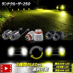 [Ώۏi^CZ[10%OFF]hN[U[ 250 tHOv p LED ou 2^Cv [zCg] [2Fؑ] L1B tHO g