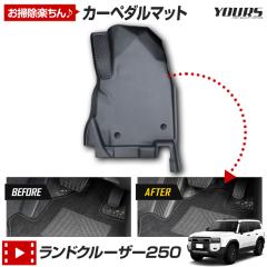 [Ώۏi^CZ[10%OFF]hN[U[ 250 p J[y_}bg N tA}bg ^]  h h JX^ p[