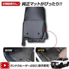 [Ώۏi^CZ[10%OFF]hN[U[ 250 p J[y_}bg ȗp}bg N tA}bg  h h JX