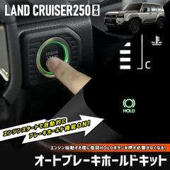 [Ώۏi^CZ[10%OFF]hN[U[250 p I[gu[Lz[hLbg I[gu[L ANZT[ hXAbv g