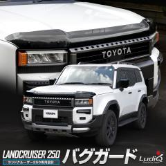 [Ώۏi^CZ[10%OFF]hN[U[ 250 p oOK[h N250 {lbg t[h 悯 O JX^ ANZT[