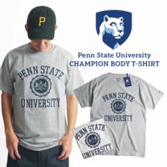 THE PENNSYLVANIA STATE UNIVERSITY ItBVSTVc `sI{fBiY S-XXL Champion JbWTVc yVoj