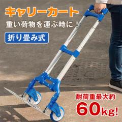 サカエ フリーワゴン FW-5373AWD 【発送先 法人様・個人事業主様 サカエ フリーワゴン FW-5373AWD 【発送先 法人様・個人事業主様