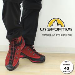 X|eBo oRC SPRT11N gS Av G{ GORE-TEX TRANGO ALP EVO GORE-TEX gbLOV[Y coR Y/jp X