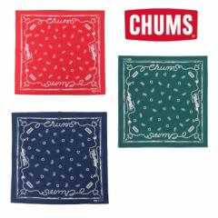 `X `Xo_i CH62-1868 o_i CHUMS Bandana