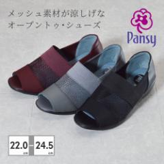 Pansy pW[ 4482 fB[X T_ Xb| wlC