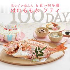 H Zbg yԂނсE HߑV -͂veB-s1.5kgEP[L5tz 1ŊȒP{iH Yō