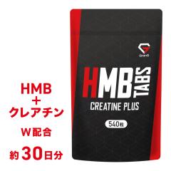 OO GronG HMB^ubg NA`vX 540 30 ݌v Tvg